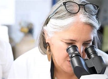 Ana Fernández-Sesma