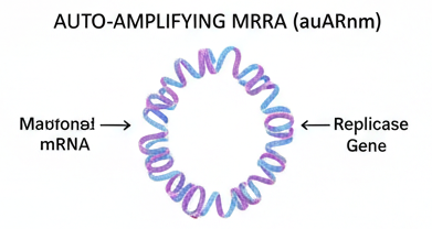 Creado con Google gémini a 5/11/2025.