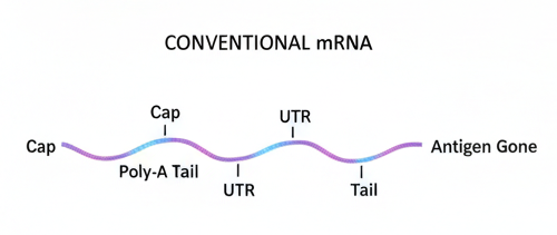 Imagen creada con Google Gemini a 5/11/2025.